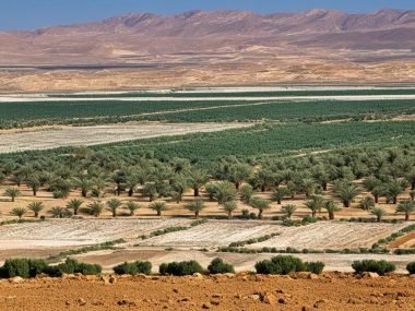 What Natural Resources Does Tunisia Have?